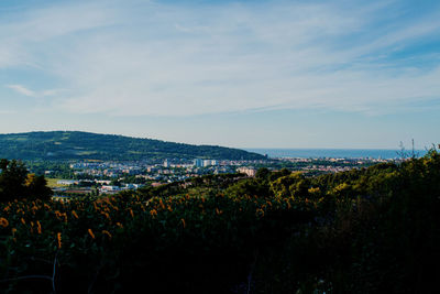 Scenic view of landscape against sky