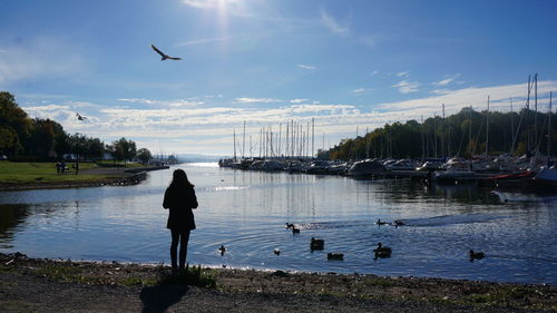 View of birds in water