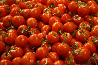 Full frame shot of tomatoes