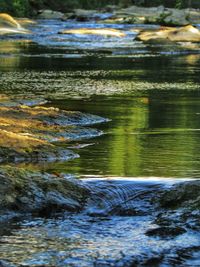 Stream flowing through rocks