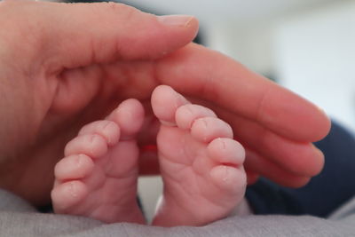 Low section of baby feet