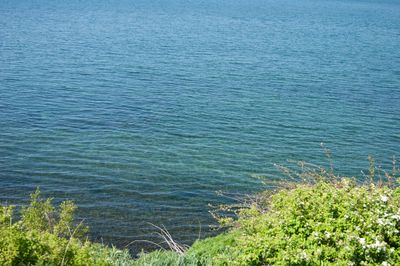 Scenic view of lake