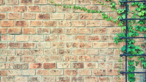 Full frame shot of brick wall