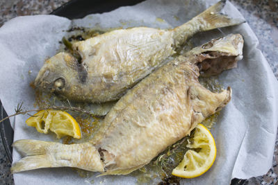 High angle view of fish in container