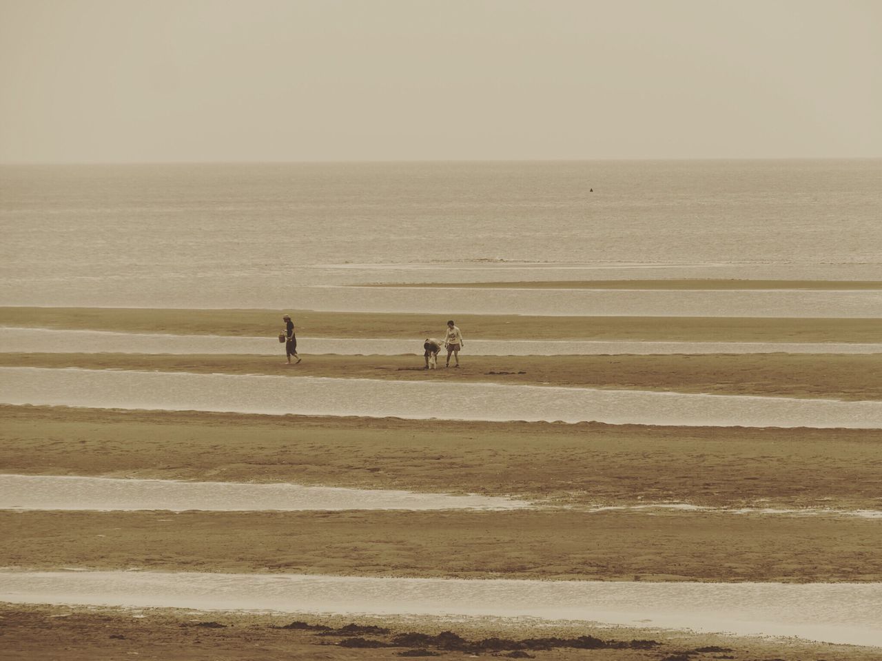 sea, horizon over water, beach, water, shore, leisure activity, lifestyles, tranquil scene, scenics, tranquility, nature, beauty in nature, vacations, sky, outdoors, idyllic, day, coastline, ocean, tourism