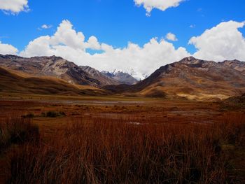 Scenic view of field against sky