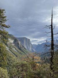 El capitan