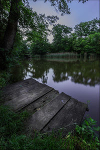 Reflection of trees in lake