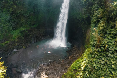 Scenic view of waterfall in forest