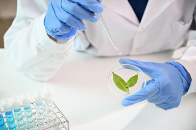 Midsection of doctor holding dentures in laboratory