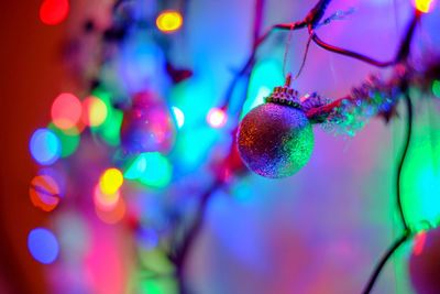 Close-up of illuminated christmas decorations