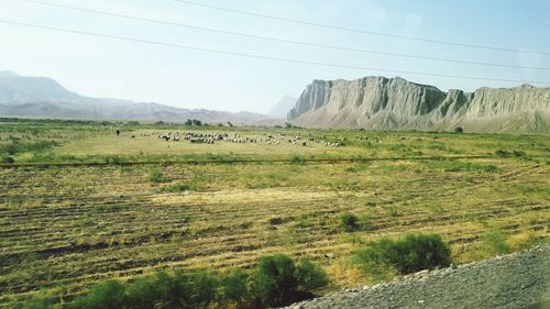 Scenic view of field and mountains against sky