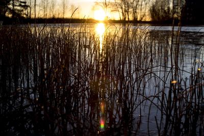 Scenic view of lake against sky during sunset