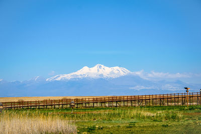 Scenic view of field against blue sky