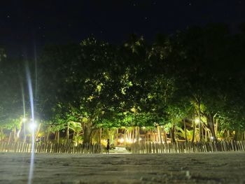 Illuminated trees against sky at night