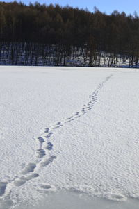 Scenic view of snow covered field