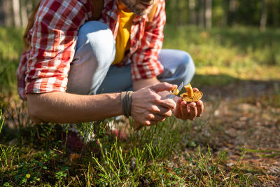 Midsection of woman picking fruit