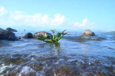 Scenic view of sea against sky