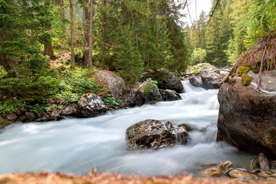 Scenic view of waterfall in forest