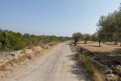 Road amidst trees against clear sky