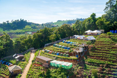 High angle view of trees and buildings against sky