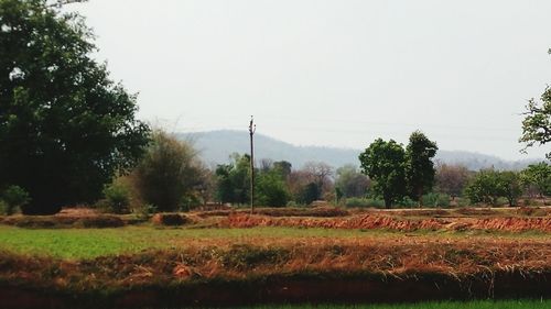 Scenic view of field against clear sky