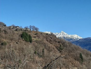 Scenic view of snowcapped mountains against clear blue sky