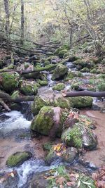 Stream flowing through rocks in forest