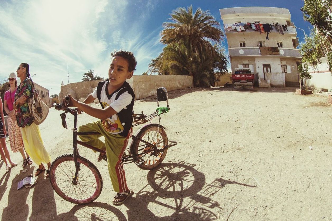 lifestyles, leisure activity, bicycle, tree, sky, palm tree, casual clothing, young adult, building exterior, men, full length, sunlight, architecture, transportation, built structure, person, shadow, riding