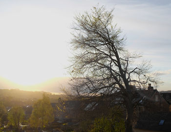 sky