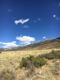 Scenic view of landscape against blue sky