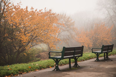 Empty bench in park