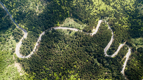 Aerial view of road amidst forest