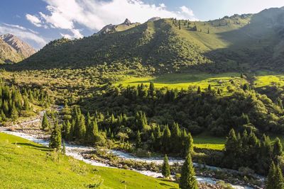 Scenic view of landscape and mountains against sky