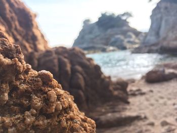 Close-up of rocks at shore against sky