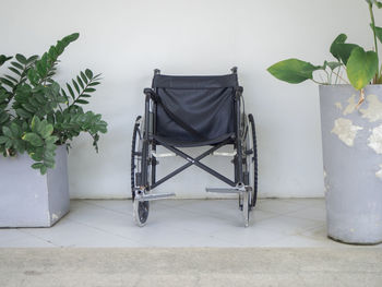 View of potted plants on floor against wall