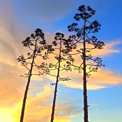 sky