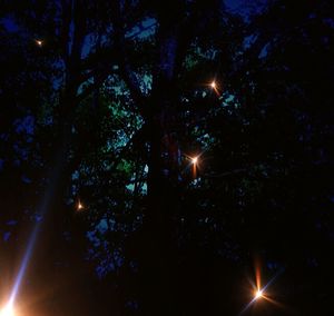 Low angle view of trees against sky at night