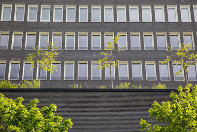 Germany, bavaria, munich, rows of windows of new office building