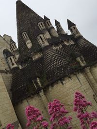 Low angle view of building