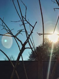 Low angle view of bare tree against sky