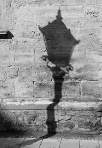 Shadow of bird on brick wall