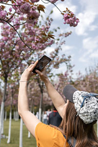 Rear view of young woman in cap taking photo of blooming cherry sakura or almond tree on smartphone