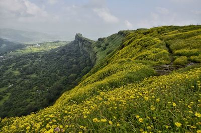 Scenic view of field and mountains against sky