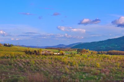 Scenic view of landscape against cloudy sky