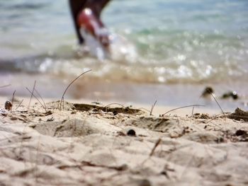 Surface level of beach