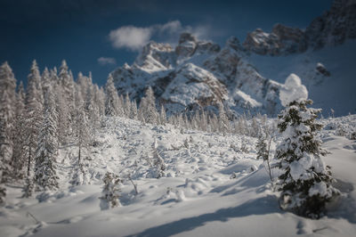 Snow covered land and trees against sky