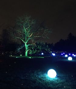 Illuminated lights by trees against sky at night