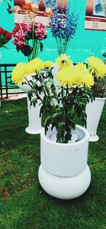 Close-up of yellow flower vase on table