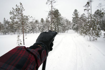 Cropped hand of person holding skiing pole on snow covered land in forest